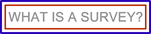 What is a survey?